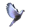 Many thanks to the genius who created  this magnificent dove - let us send it all around the world with its message of peace